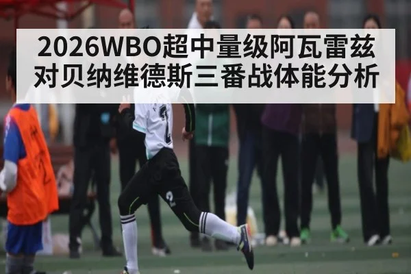 2026WBO超中量级阿瓦雷兹对贝纳维德斯三番战体能分析