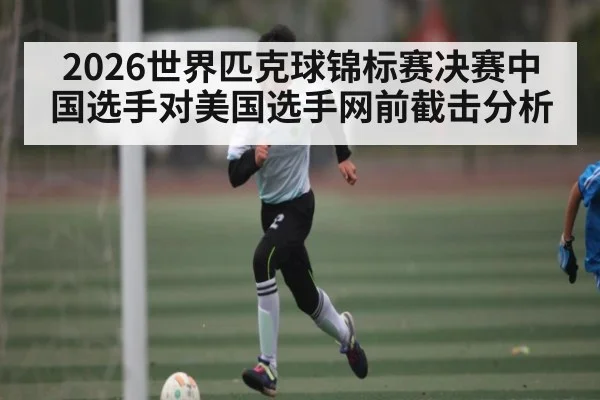 2026世界匹克球锦标赛决赛中国选手对美国选手网前截击分析 | hth